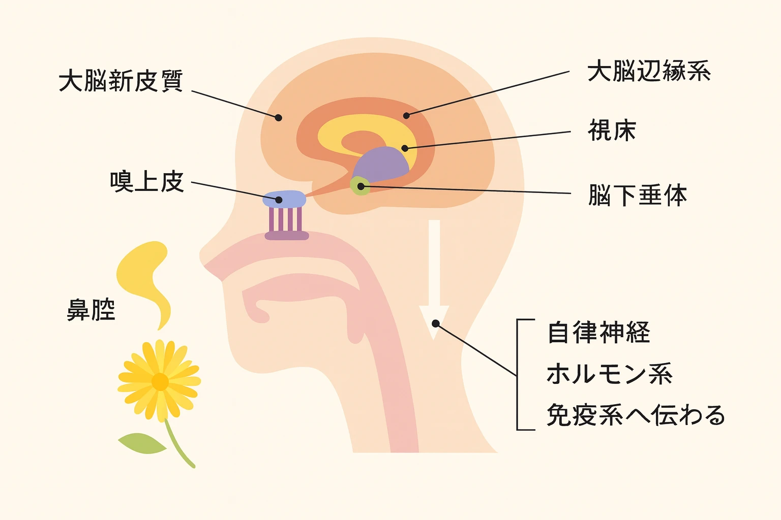 美容室2