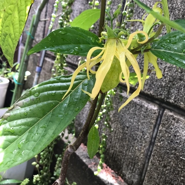ダウンロード (3)